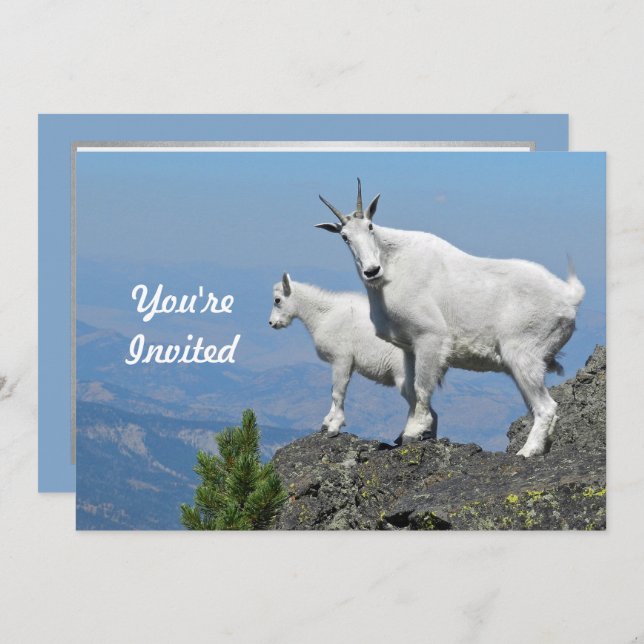 Invitación Montaña Goats White Wildlife Photo Birday (Anverso / Reverso)