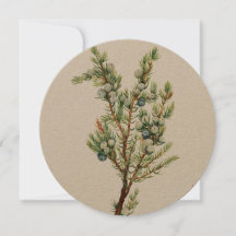 Montañas Botánicas Sencillas