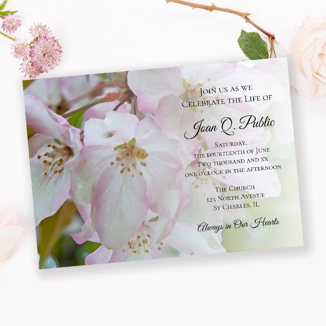 Invitación Monumento conmemorativo a las flores blancas de co (Subido por el creador)