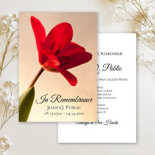 Invitación Monumento conmemorativo del aniversario de la muer