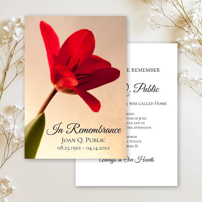 Invitación Monumento conmemorativo del aniversario de la muer (Subido por el creador)