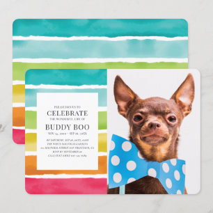 Invitación Monumento Mascota a las franjas arcoiris de color