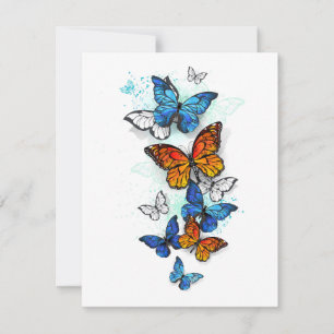 Invitación Morfo y monarca de las mariposas voladoras
