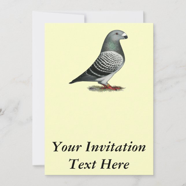 Invitación Mostrar pichón Racer Blue Checker (Anverso)