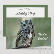 Nacimiento de la foto de la rama de árbol de búho 