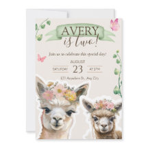 Nacimiento de la llama de la Alpaca Kid | Invitaci