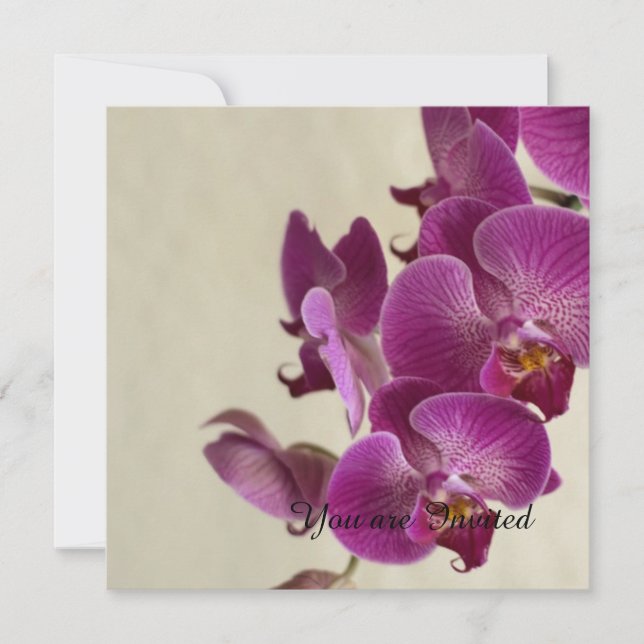 Invitación Nacimiento de las flores de orquídeas rosas (Anverso)