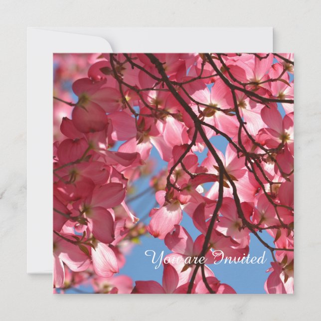 Invitación Nacimiento de las flores rosadas de dogwood (Anverso)