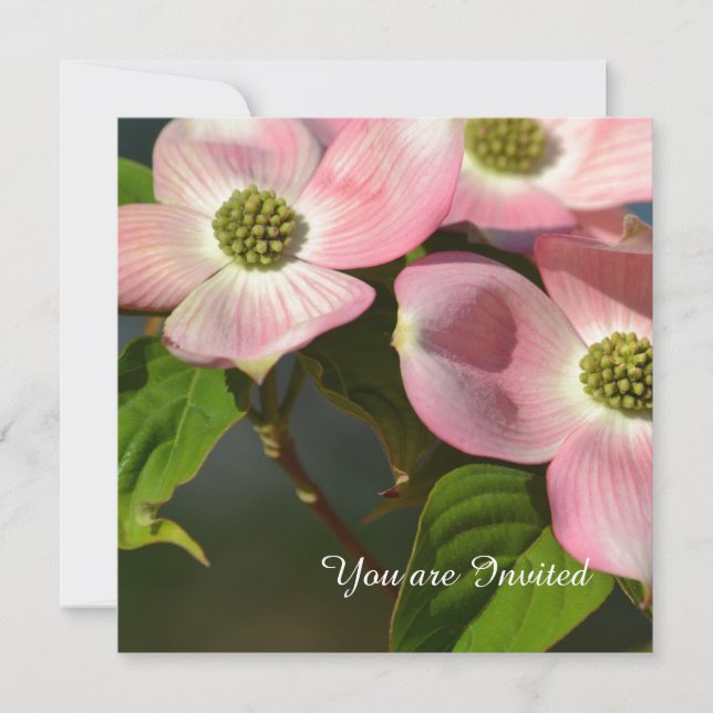 Invitación Nacimiento de las flores rosadas de dogwood (Anverso)
