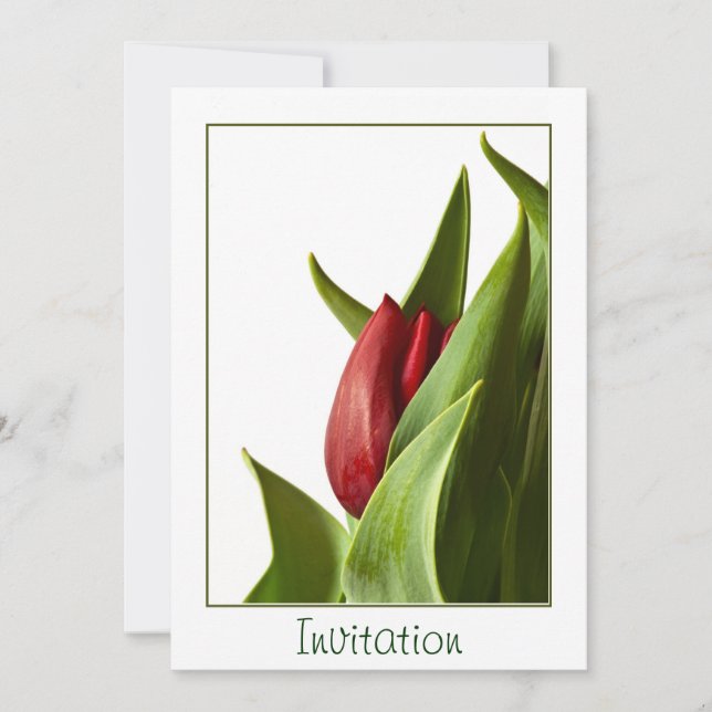 Invitación Nacimiento de un tulipán rojo de la primavera - (Anverso)