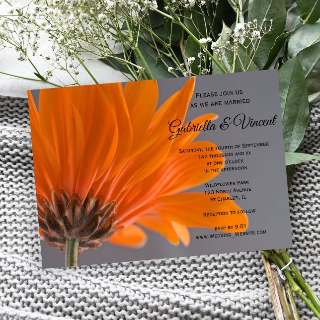 Invitación Naranja Daisy sobre Boda gris (Invite guests to your garden marriage with the pretty Orange Daisy on Gray Wedding Invitation.)