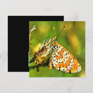 Invitación Naranja de Fritillary y mariposa blanca