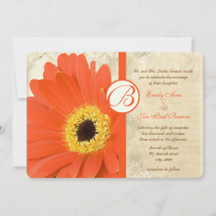 Invitación Naranja floral Coral Gerber Daisy Lace Boda
