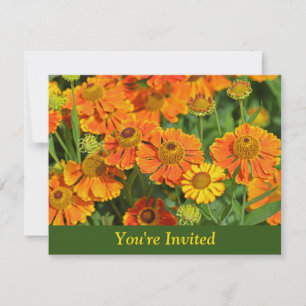 Invitación Naranja Flores de estornudos Sorpresa Cumpleaños