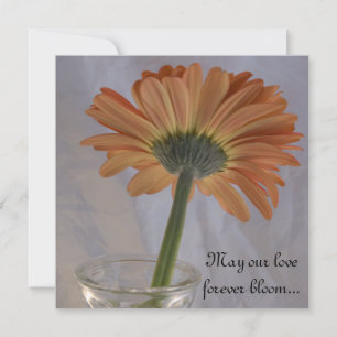 Invitación Naranja Gerber Daisy Boda