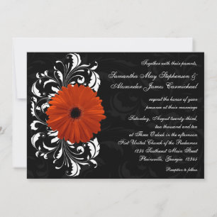 Invitación Naranja Gerbera Daisy con pergamino blanco y negro