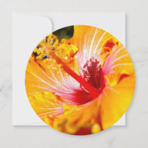 Invitación Naranja Hibiscus Flower Side View