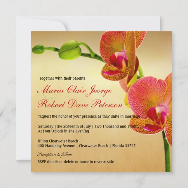 Invitación Naranja Orquídeas Tropical Beach Destination Weddi (Anverso)