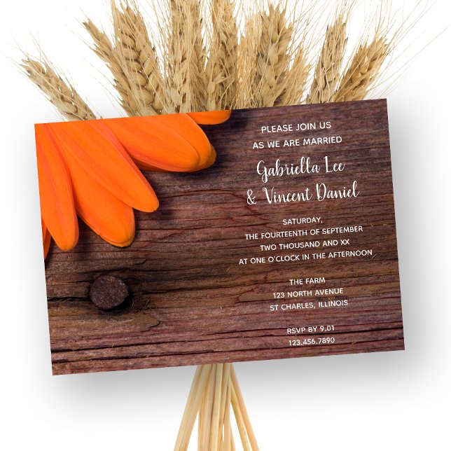 Invitación Naranja Rústico Daisy y Barn Wood Country Wedding (Subido por el creador)