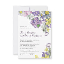 Narciso pintado a mano del narciso del color de