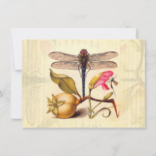 Invitación Naturaleza Botánica Libélula Fauna Hoefnagel Arte