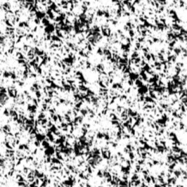 Invitación Navidad | Acción de gracias | Camisetas y regalos 