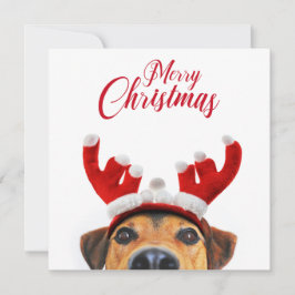 Invitación Navidad Perro Cute gracioso reno Antler Cabeza