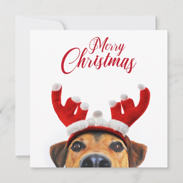 Invitación Navidad Perro Cute gracioso reno Antler Cabeza (Anverso)