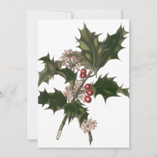 Invitación Navidad Vintage, Planta de Acebo Verde con Bayas