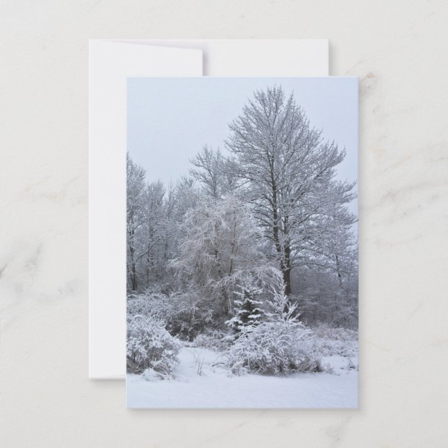 Invitación Navidades blancos de invierno de Windsor (Anverso)