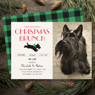 Invitación Navidades Brunch Fiesta Scottie Dog Photo Green