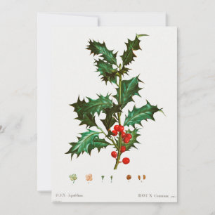 Invitación Navidades de Common Holly