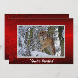 Invitación Navidades de foto de Wildlife Wolf Snow