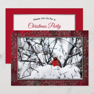 Invitación Navidades de fotografía del cardenal Redbird Snow