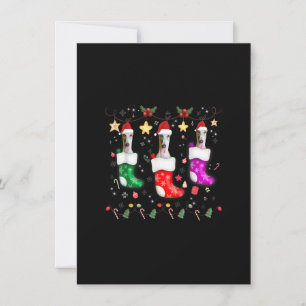 Invitación Navidades de Greyhound iluminan obsequio Divertido