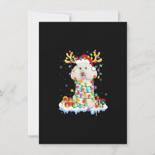 Invitación Navidades de renos Poodle Santa Shirny Dog Xm