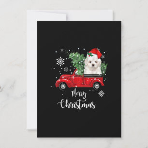 Invitación Navidades malteses de camionetas rojas en biciclet