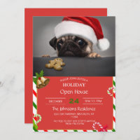 Navidades Pug