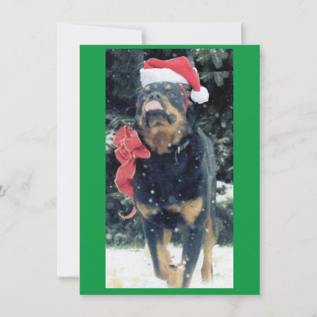 Invitación navidades rottweiler con sombrero santa, arco iris (Anverso)
