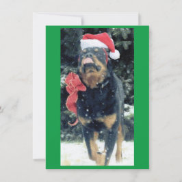 Invitación navidades rottweiler con sombrero santa, arco iris