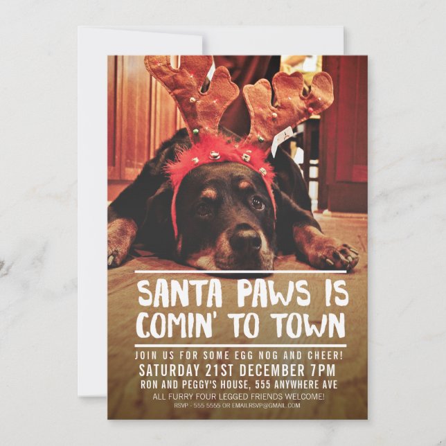 INVITACIÓN NAVIDADES SANTA PAWS FIESTA FOTO (Anverso)
