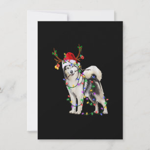 Invitación Navidades Siberianos Husky Dog Iluminan Navidad Pa