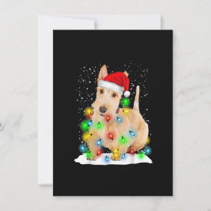 Invitación Navidades Territoriales de Santa Escocia encienden