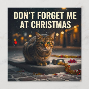 Invitación No te olvides de los gatos en la imagen artística 