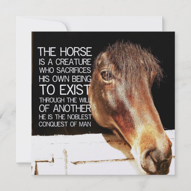 Invitación NOBLE STALLION 5.25 x 5.25 card (Anverso)