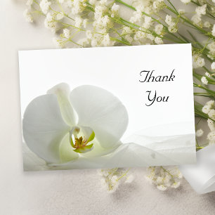 Invitación Notas de agradecimiento de White Orchid and Veil F