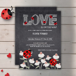 Invitación Nuestro Pequeño Bug De Amor Chalkboard Baby Shower