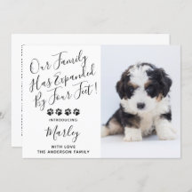 Nueva ducha de cachorros de perro Mascota