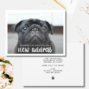Invitación Nueva y divertida dirección Mascota foto de perro
