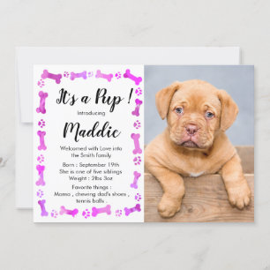 Invitación Nuevo Mascota - Perro Chica Rosado Cachorro de cum